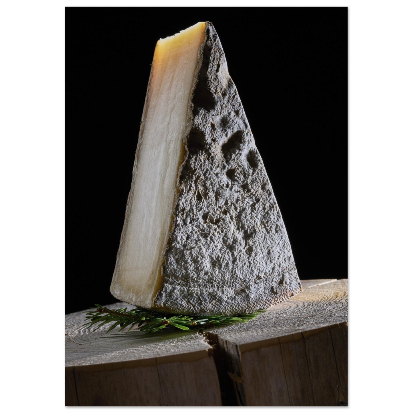Poster Artistique de la Tomme du Jura - Saveurs Authentiques - 5c216a53 - 756e - 4d67 - a3d0 - 2d21aade0766 - LAM du Jura